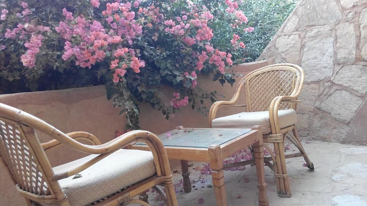 Eskaleh Eco-Lodge Abu Simbel Buitenkant foto